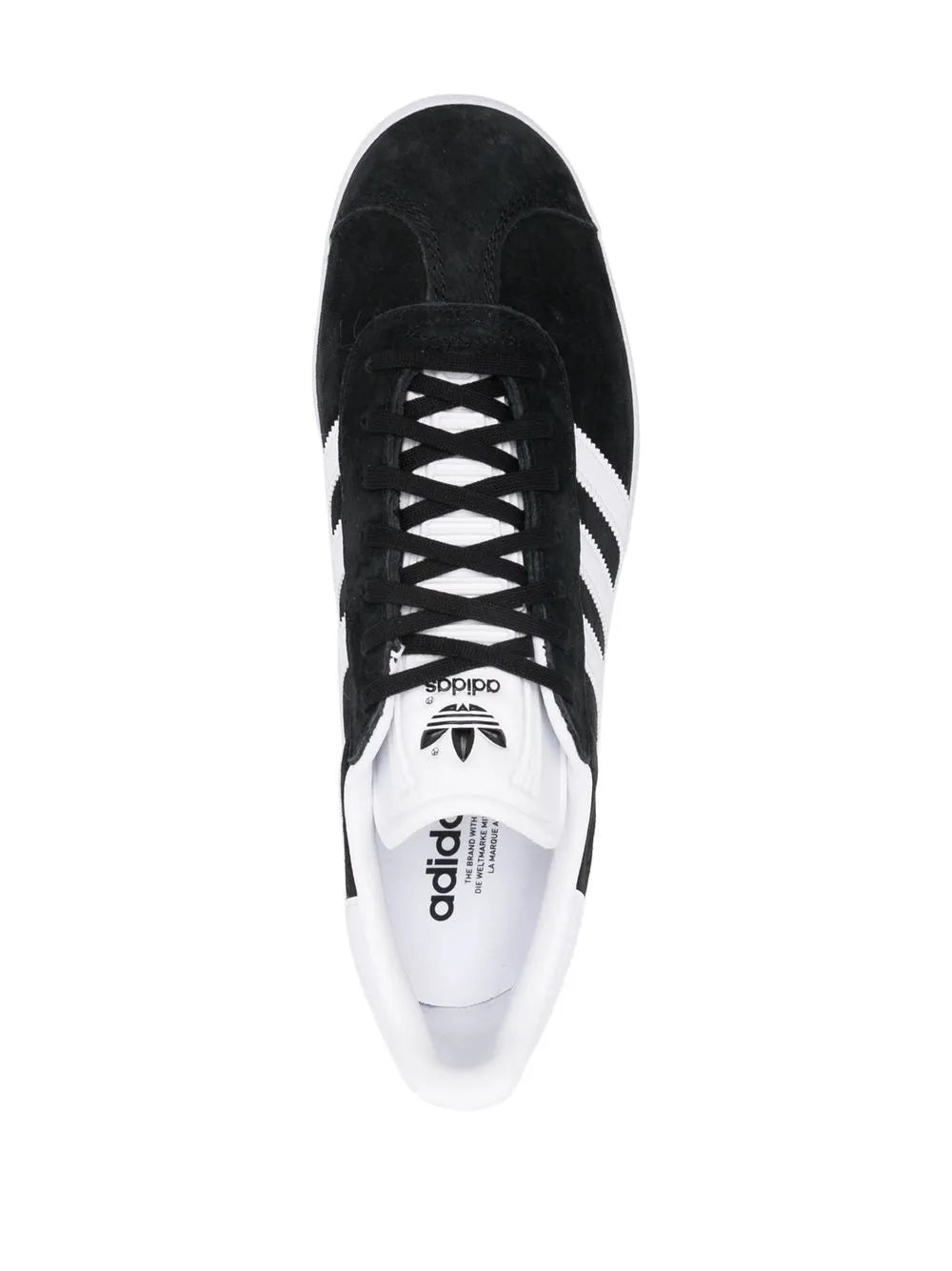 Gazelle