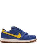 Dunk Low Pro Sb